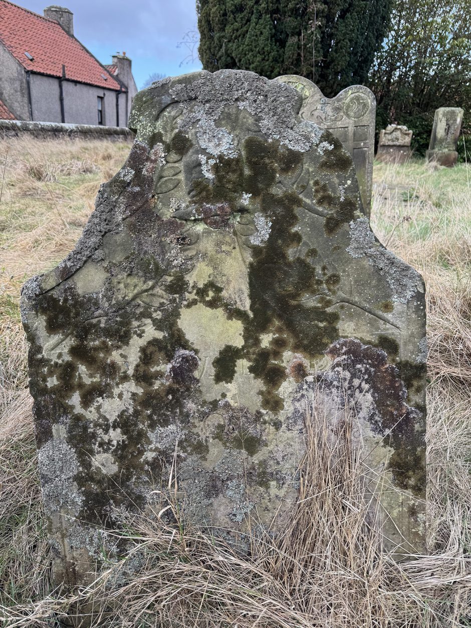 Unusual shaped headstone which is covered in lichen and moss, in the top half branches with leaves are just decipherable. In the background on the left is a house with a red panelled roof. In the background is a large Yew tree